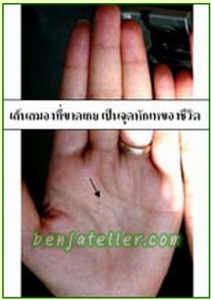 PapassaraTechapaiboonL