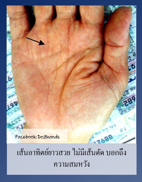 19657233_721393084674303_5004249130470460150_n