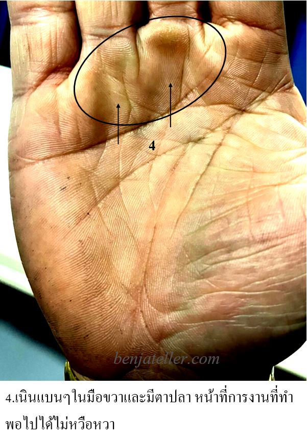 เมื่อไหร่ผมรวย