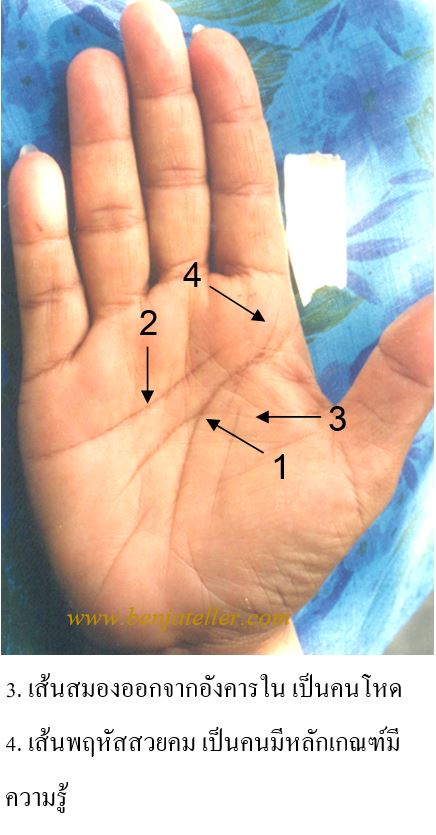 กว่าจะโตรู้เรื่อง