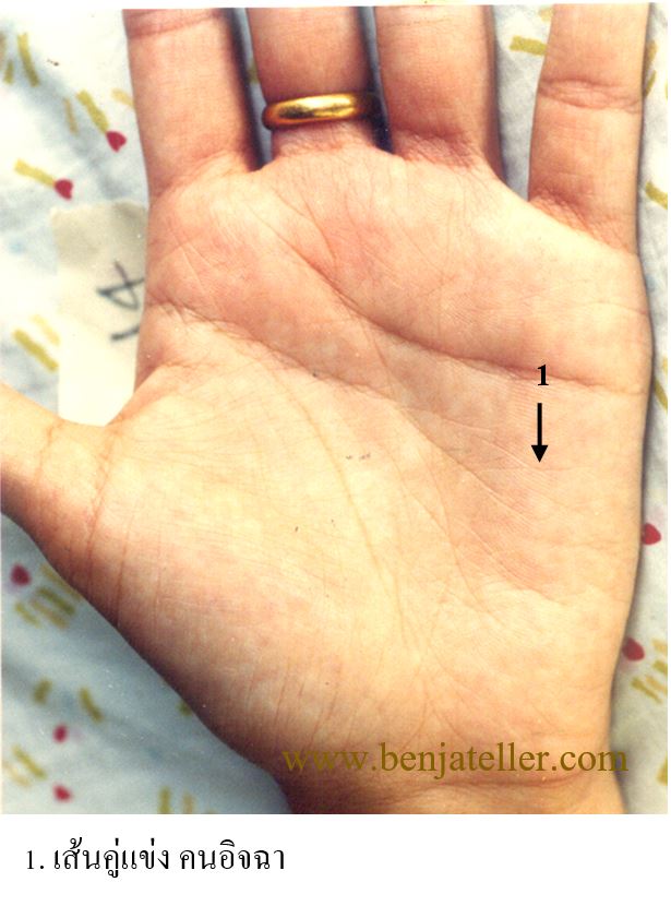 เส้นคู่แข่ง