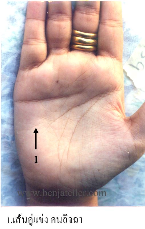 เส้นคู่แข่ง